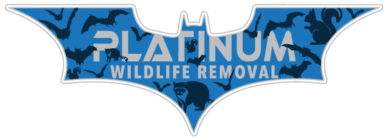 Oakland County Wildlife Removal